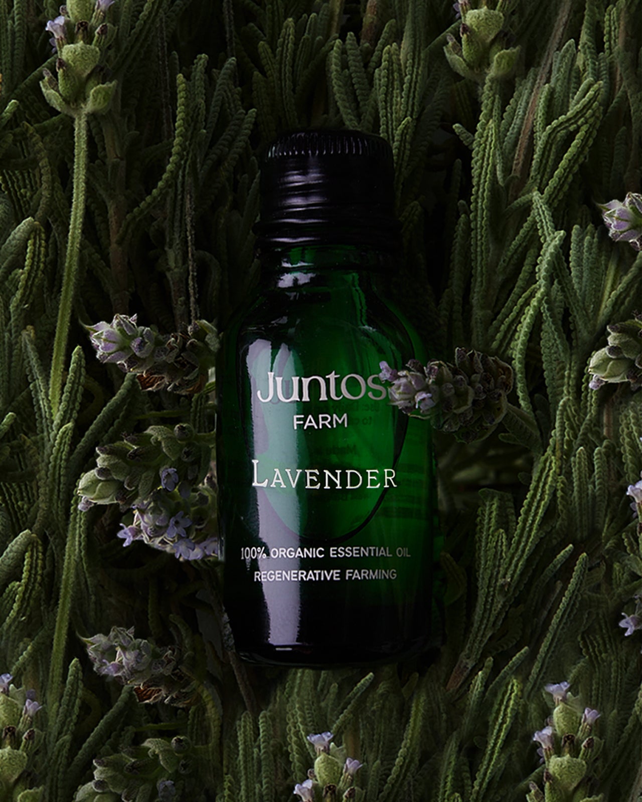 Organic Lavender Essential Oils