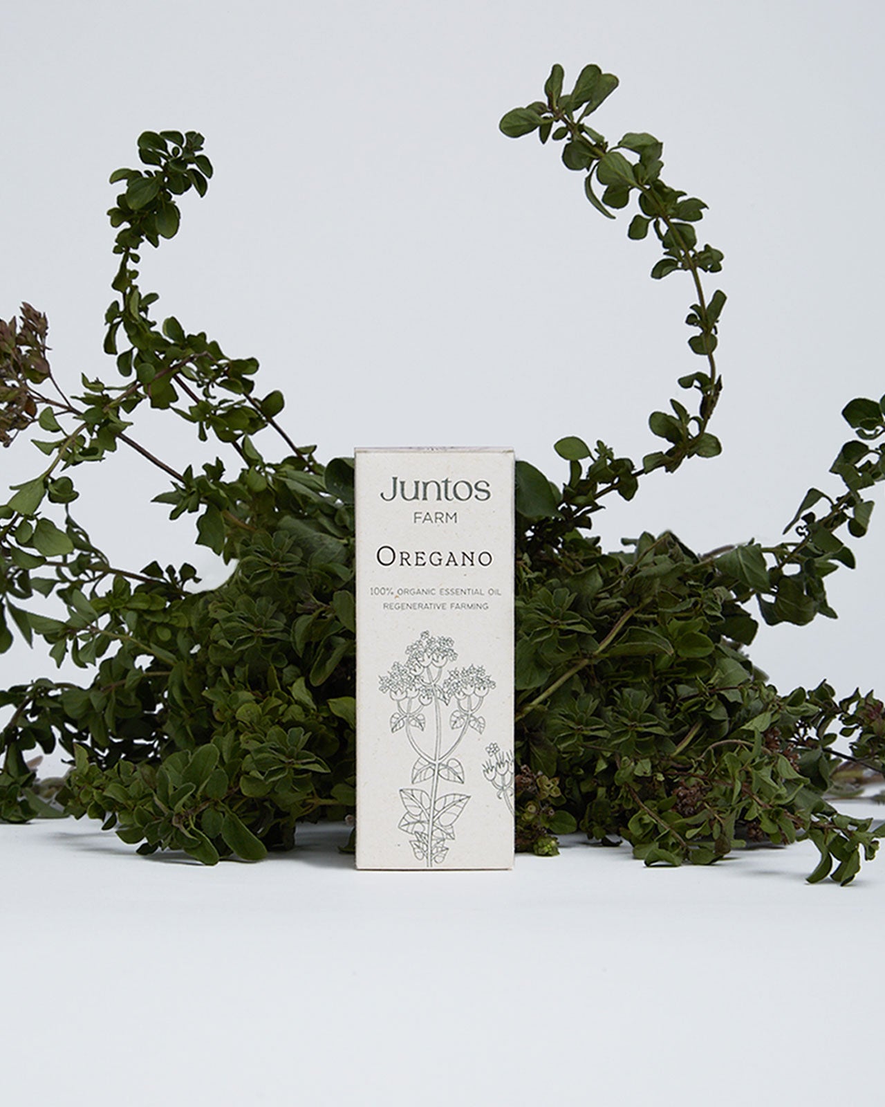 Aceite esencial de orégano