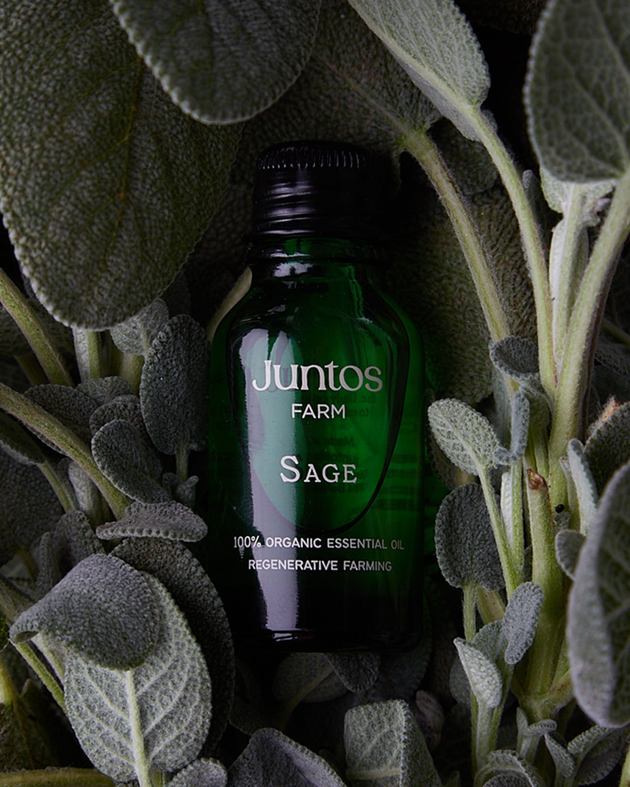 Aceite esencial de salvia