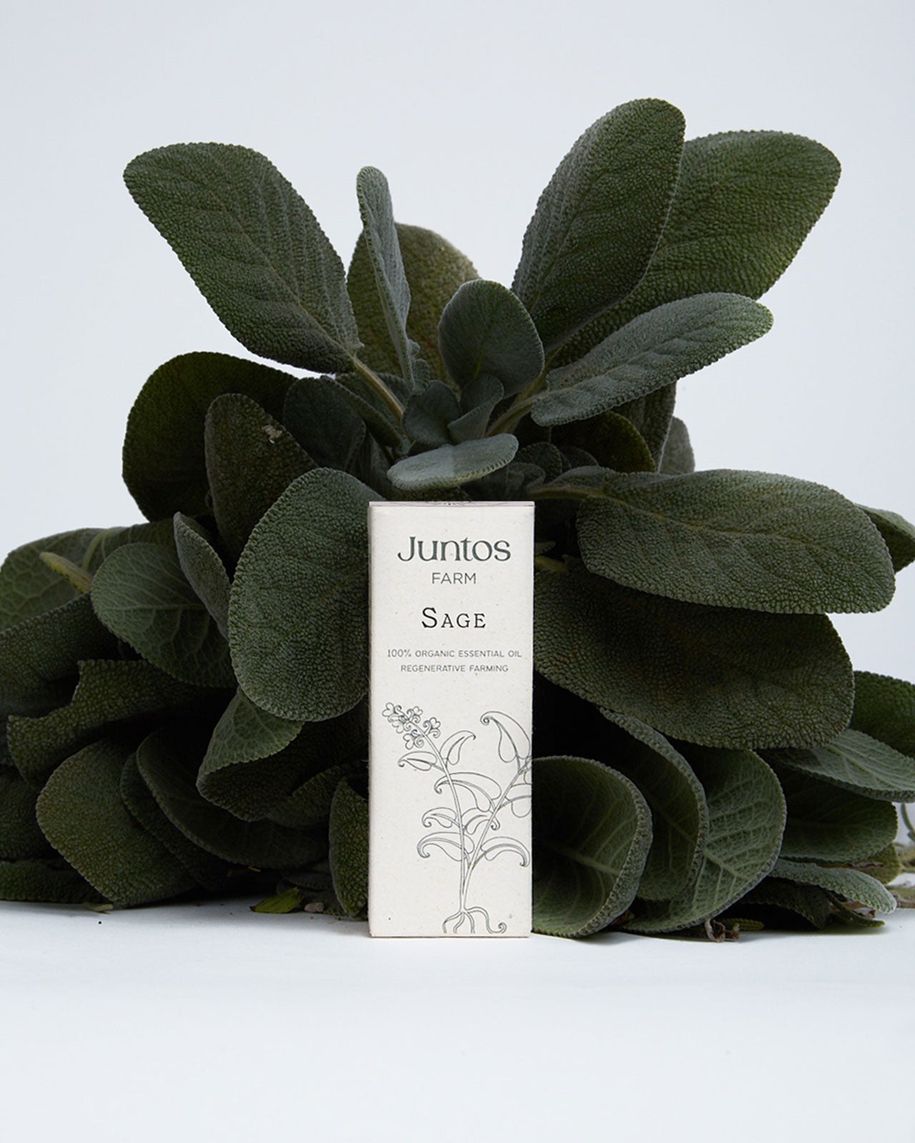 Aceite esencial de salvia