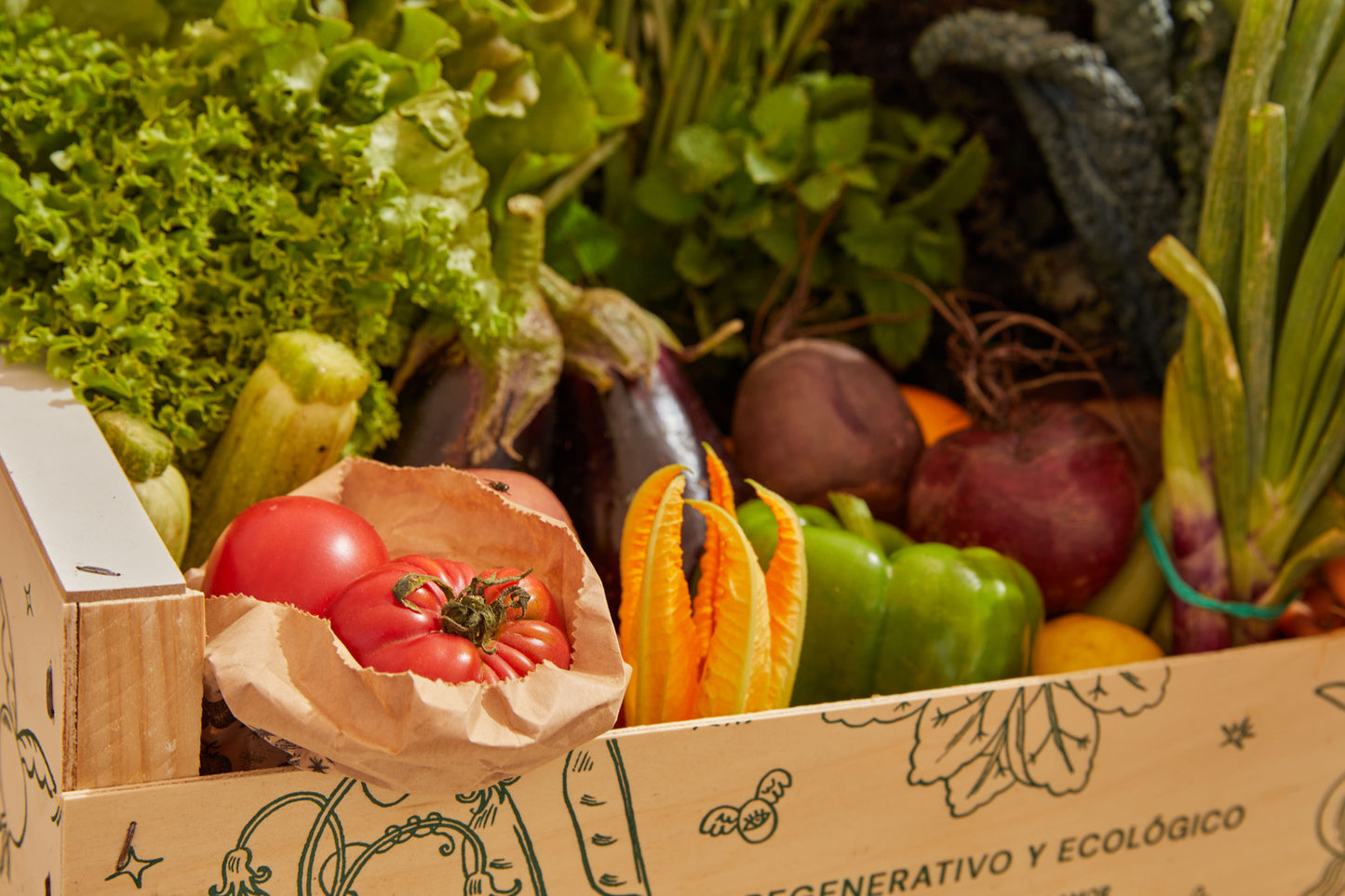 Caja de Vegetales Regenerativa