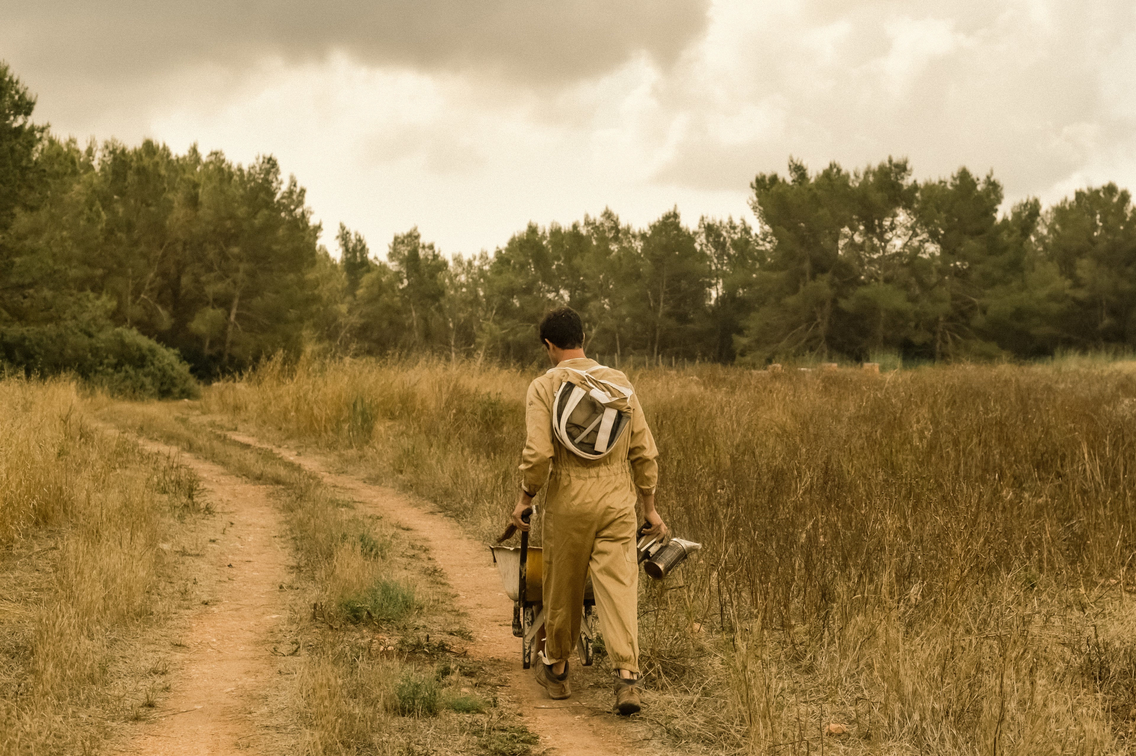 Banner Image Banner Image