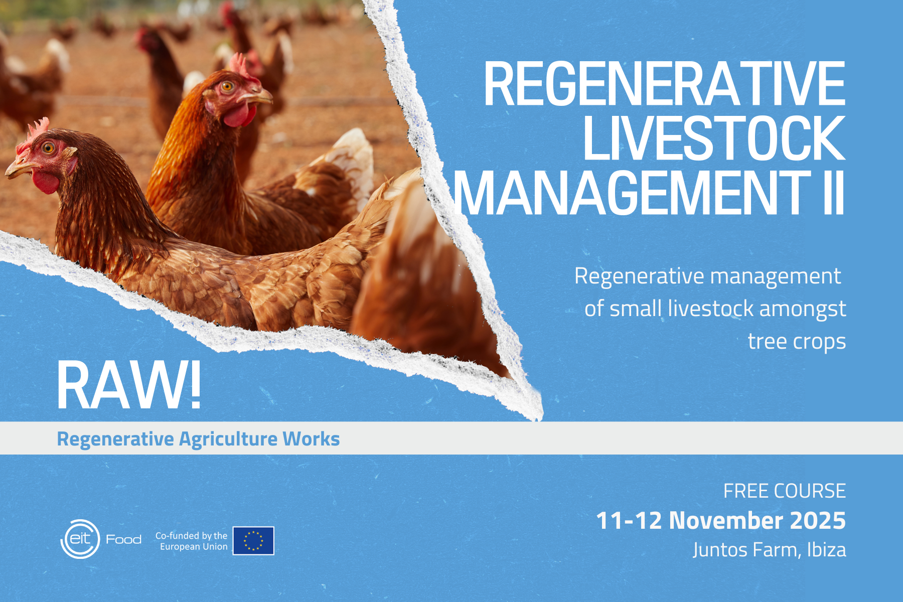 Banner Image Banner Image