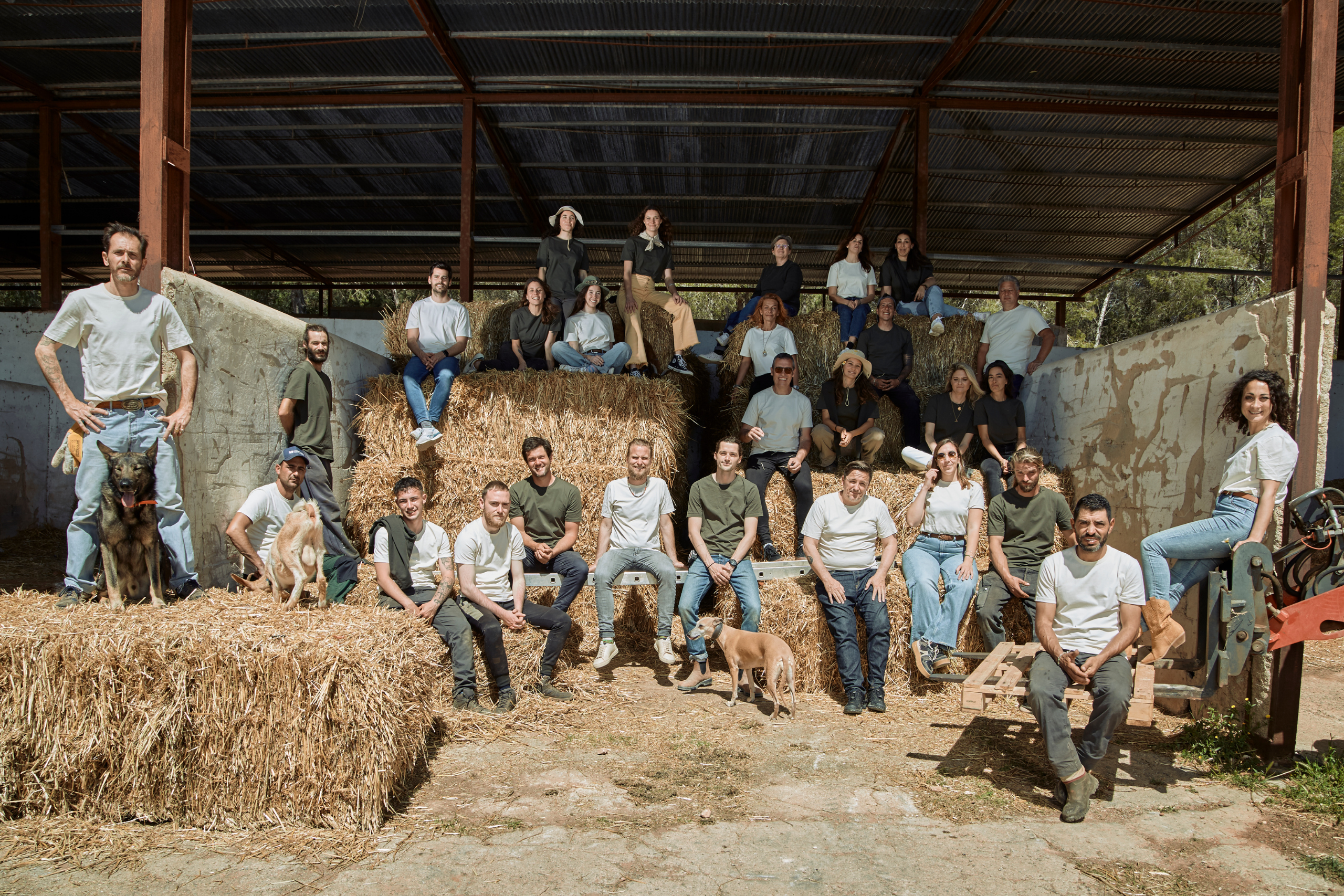 Banner Image Banner Image