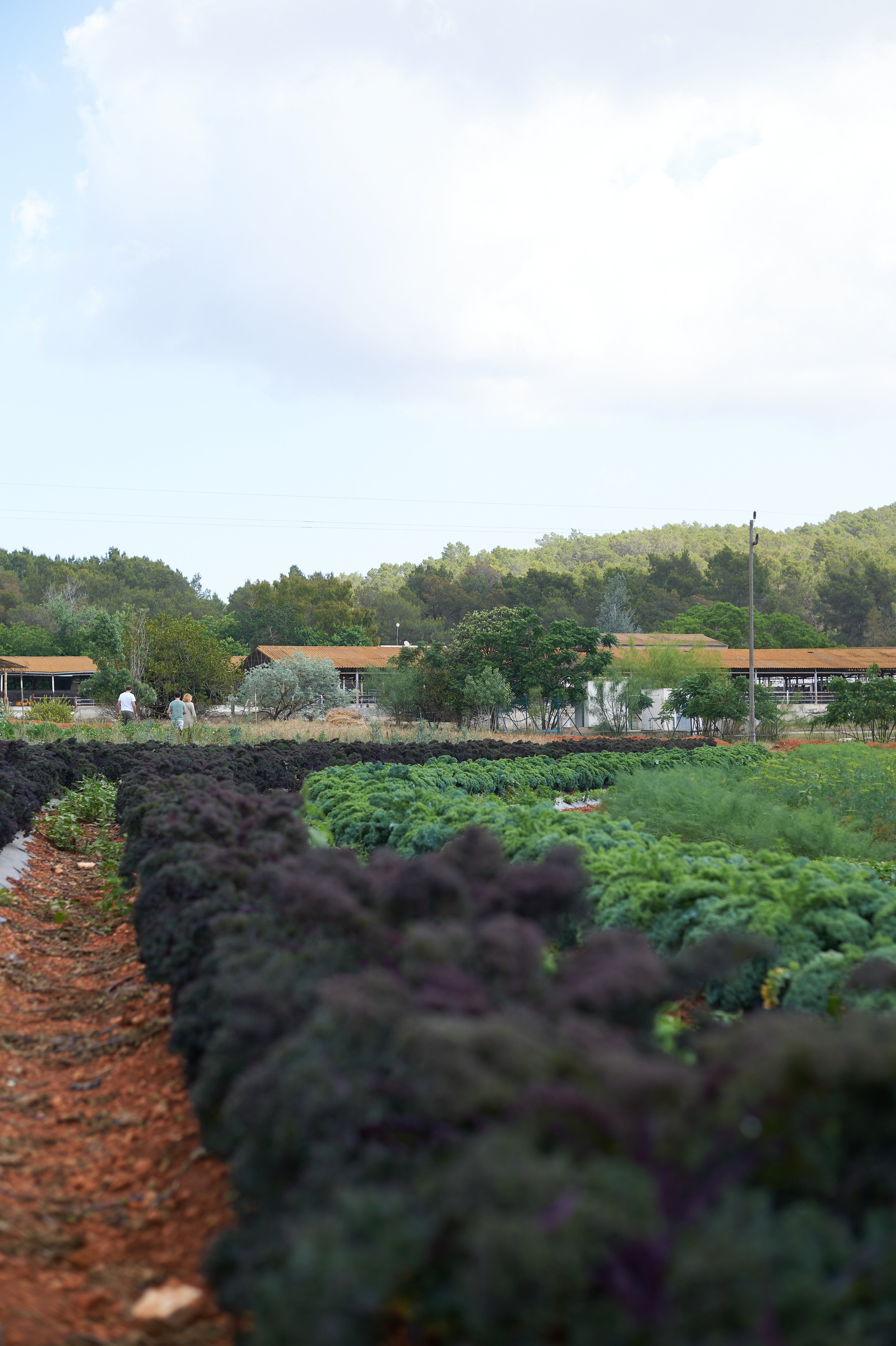 Banner Image Banner Image