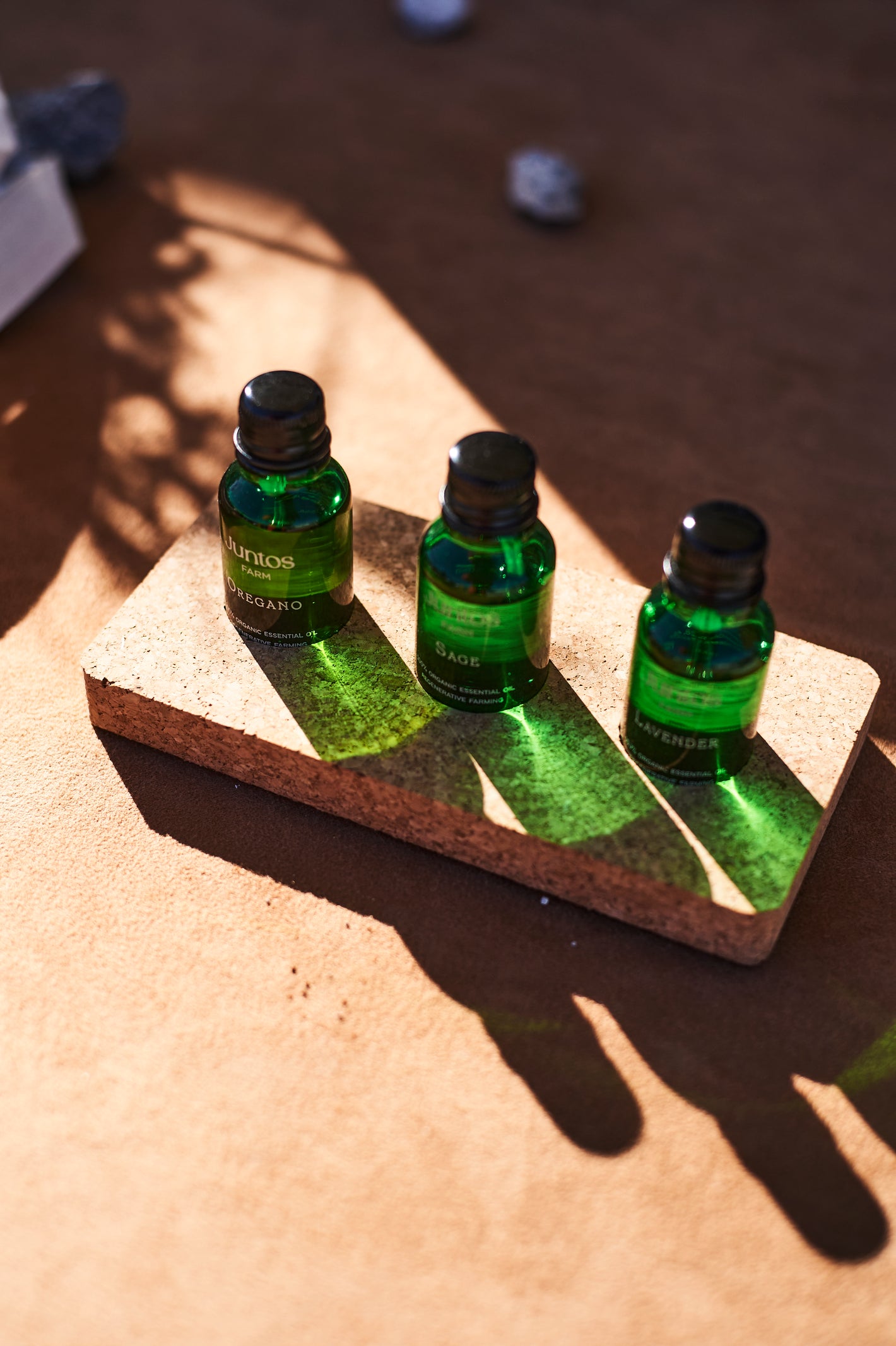 Wellness Wellness