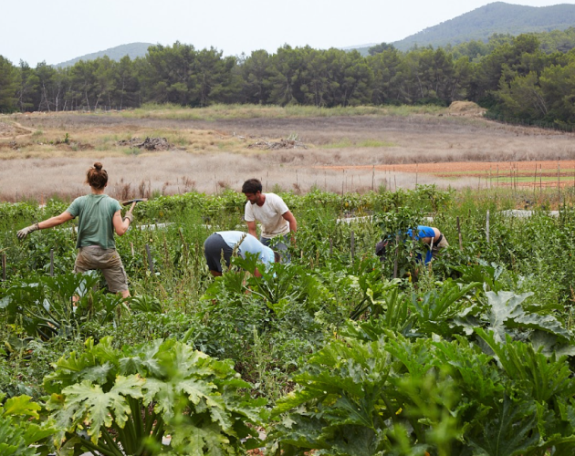 Farm Tour & Tasting Experience