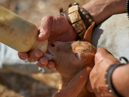 Farm Tour & Tasting Experience